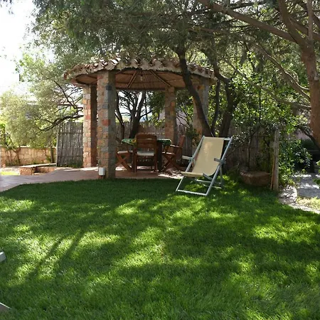 Juniper * סנטה מריה נברזה