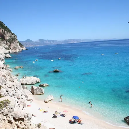 Juniper סנטה מריה נברזה