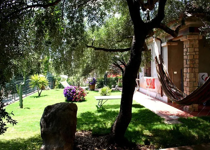 Juniper Санта-Мария-Наварезе