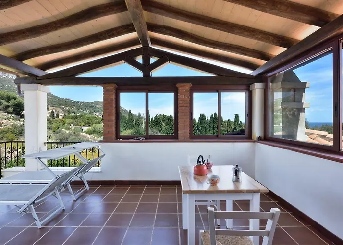 Juniper * Санта-Мария-Наварезе