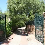Juniper * סנטה מריה נברזה