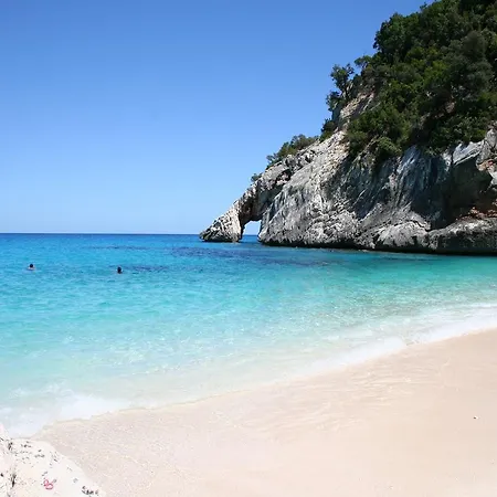 Juniper * Santa Maria Navarrese