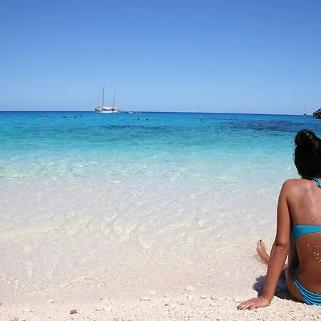 Juniper Santa Maria Navarrese