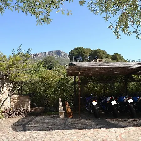 Apartament Juniper *