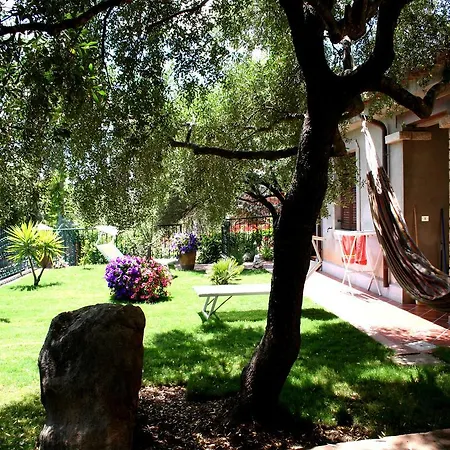 Juniper Santa Maria Navarrese