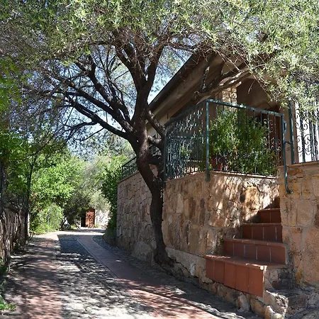 Apartamento Juniper *
